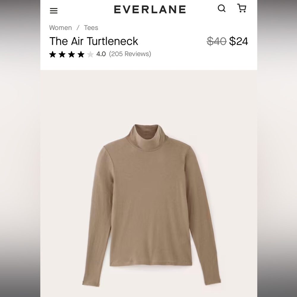 Everlane Air Turtleneck